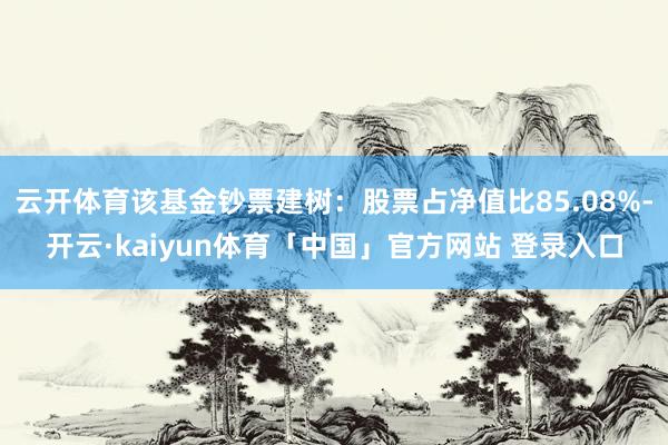 云开体育该基金钞票建树：股票占净值比85.08%-开云·kaiyun体育「中国」官方网站 登录入口