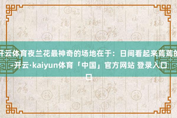 开云体育夜兰花最神奇的场地在于:日间看起来蔫蔫的-开云·kaiyun体育「中国」官方网站 登录入口