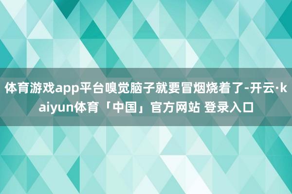 体育游戏app平台嗅觉脑子就要冒烟烧着了-开云·kaiyun体育「中国」官方网站 登录入口