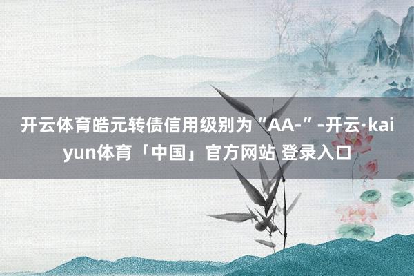 开云体育皓元转债信用级别为“AA-”-开云·kaiyun体育「中国」官方网站 登录入口