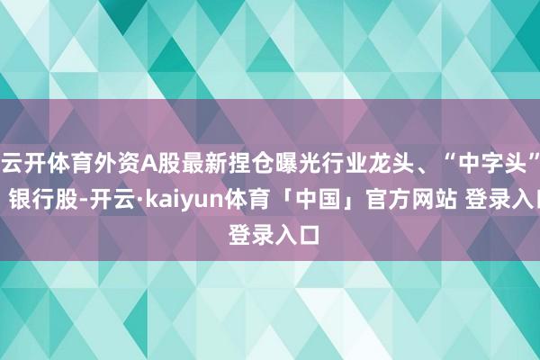 云开体育外资A股最新捏仓曝光行业龙头、“中字头”、银行股-开云·kaiyun体育「中国」官方网站 登录入口
